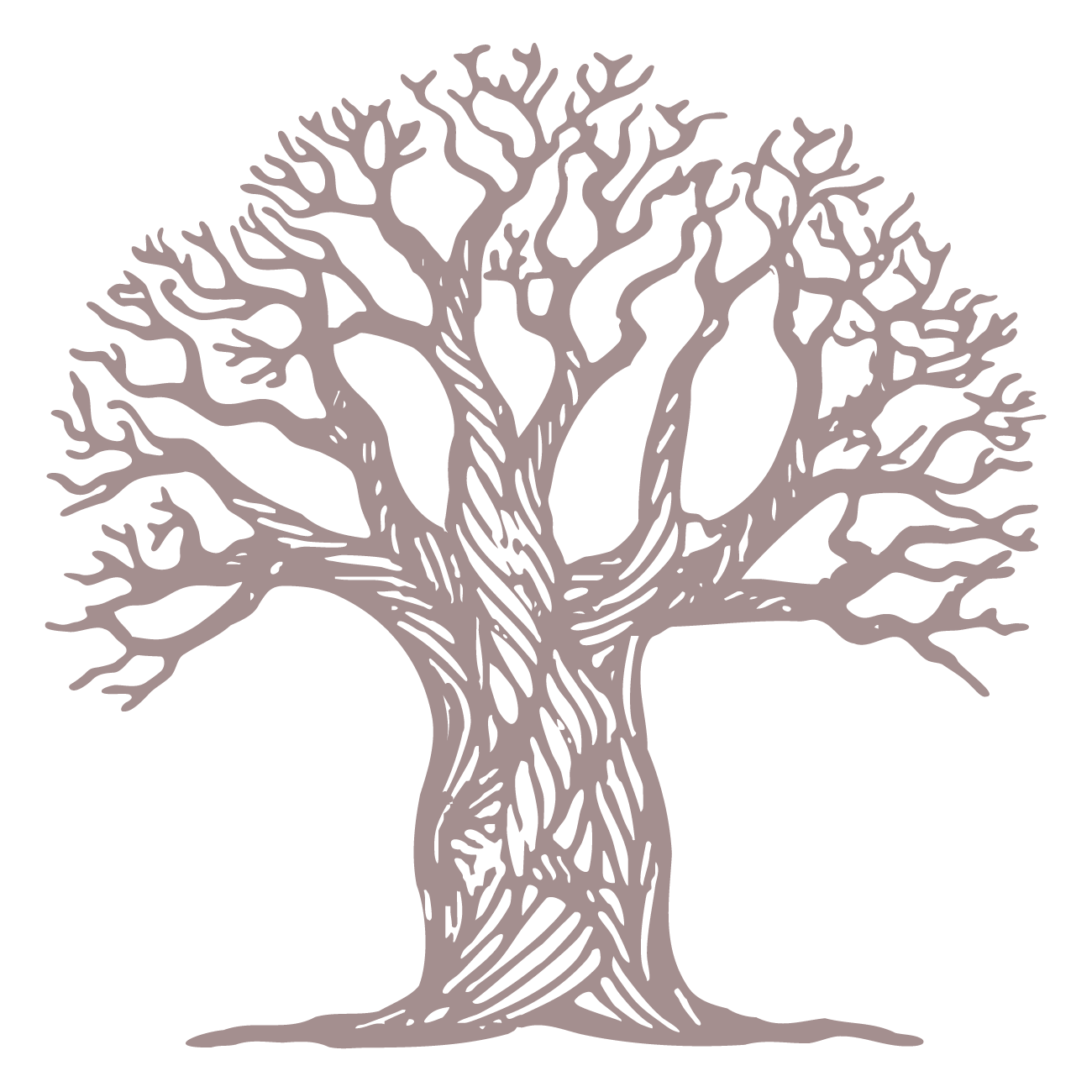 Samantha Scales Photography Favicon